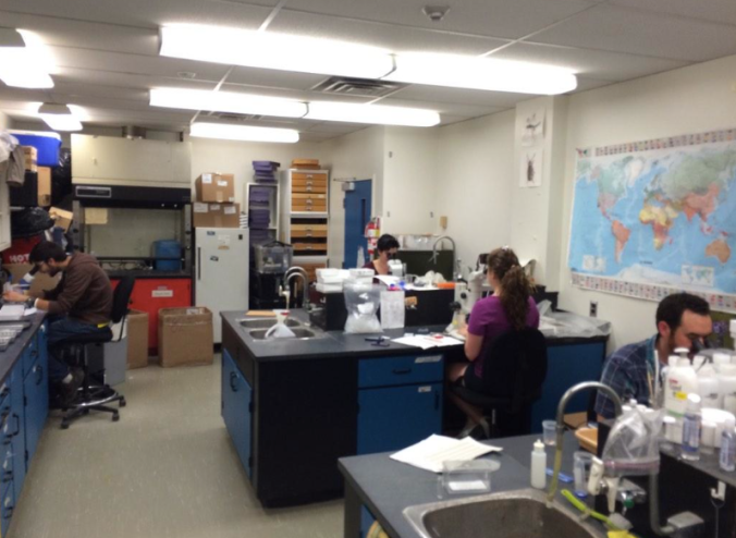 The arthropod ecology lab.