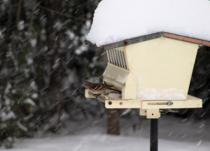 #2013Birds - the beginning. 