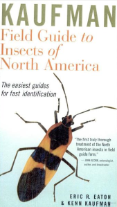 A field guide to insects - suitable for all ages!