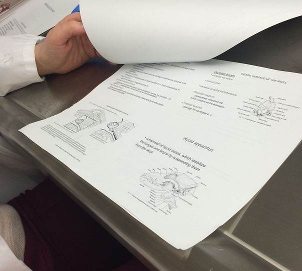 Checking the notes before the dissection commences... 
