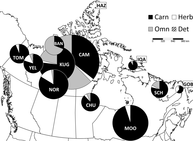 Figure 1 from the paper: Fig 1. Map of the 12 study locations (North Pole Azimuthal projection), showing the spatial distribution of functional groups. These were pooled into trophic groups, and the pie charts show the proportion of the total site biomass represented by each trophic group