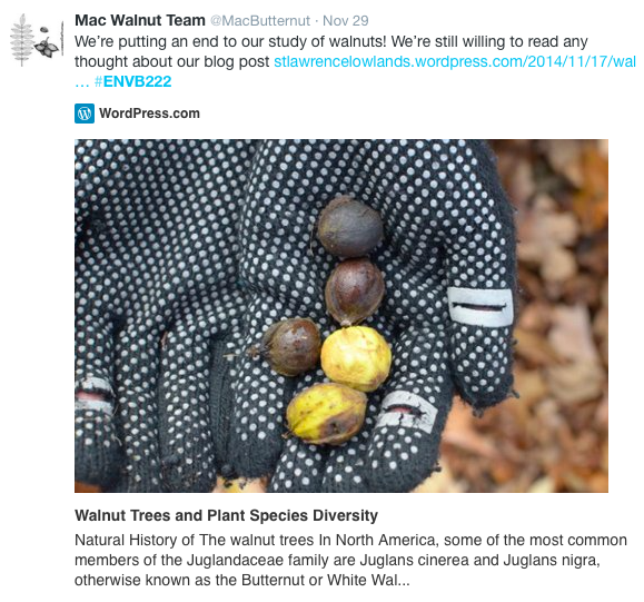 An example of a student Tweet, used to promote their blog post.