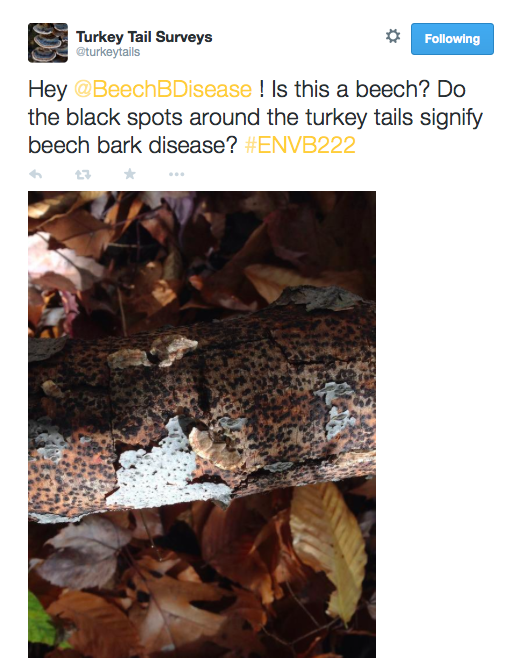 A learning community: One student group Tweeting at another student group, to ask them a question.
