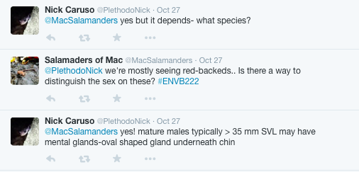 The answer... from an expert from a different country.
