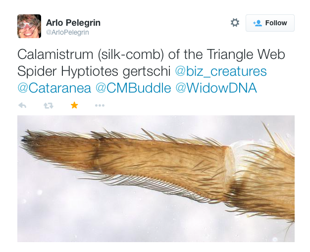 Screen Shot 2015-04-28 at 9.05.59 AM