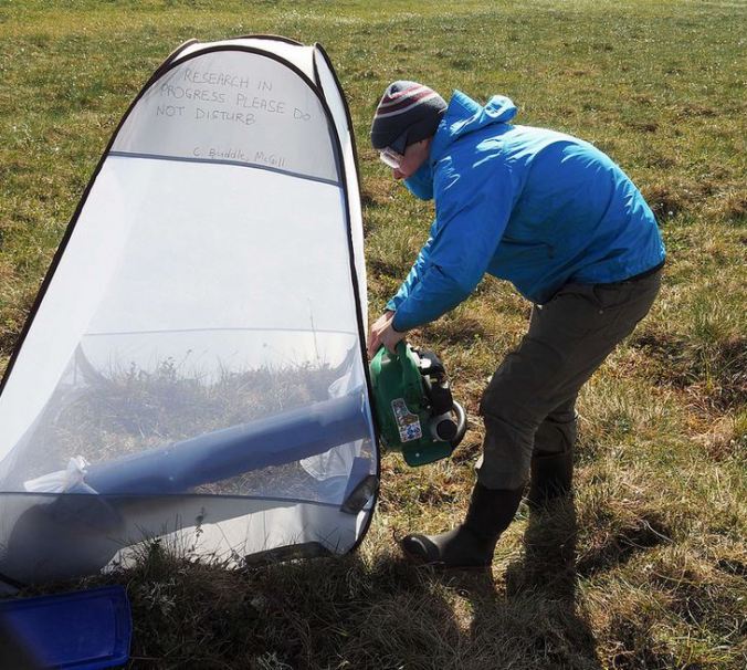 Shaun Turney, vacuuming the Tundra. It's part of doing science.
