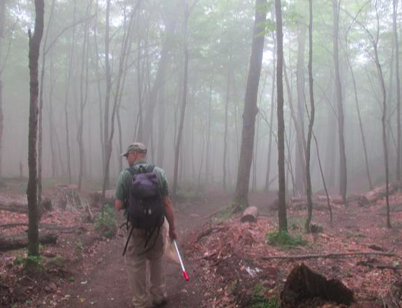Hiking at Mont St Hilaire: there are so many reasons why it's a special place, including geology. 