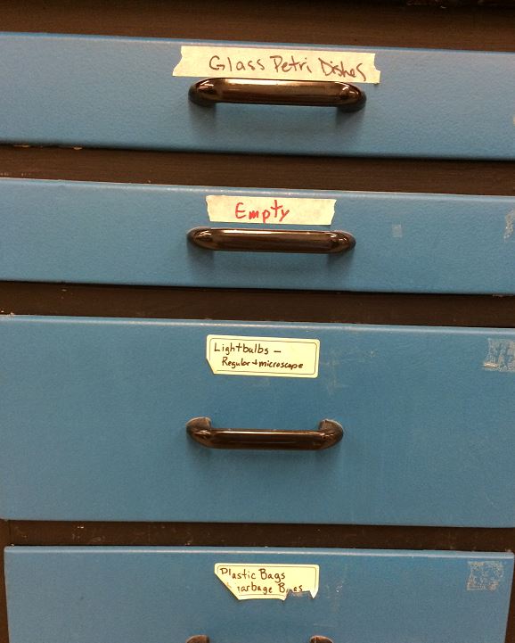 OrganizedLab